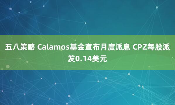 五八策略 Calamos基金宣布月度派息 CPZ每股派发0.14美元